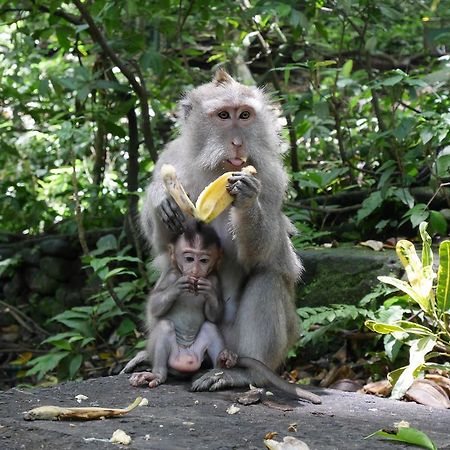 Pondok Penestanan Villa Ubud Exteriér fotografie