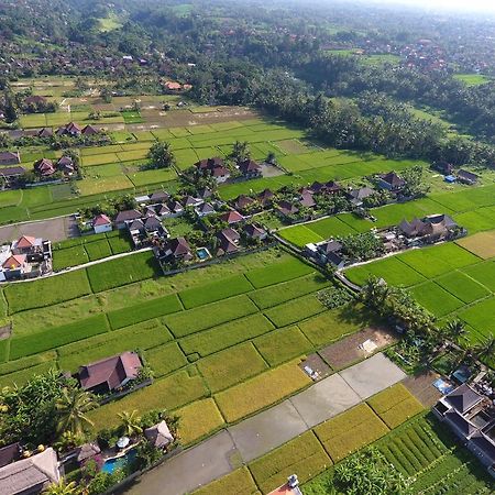 Pondok Penestanan Villa Ubud Exteriér fotografie