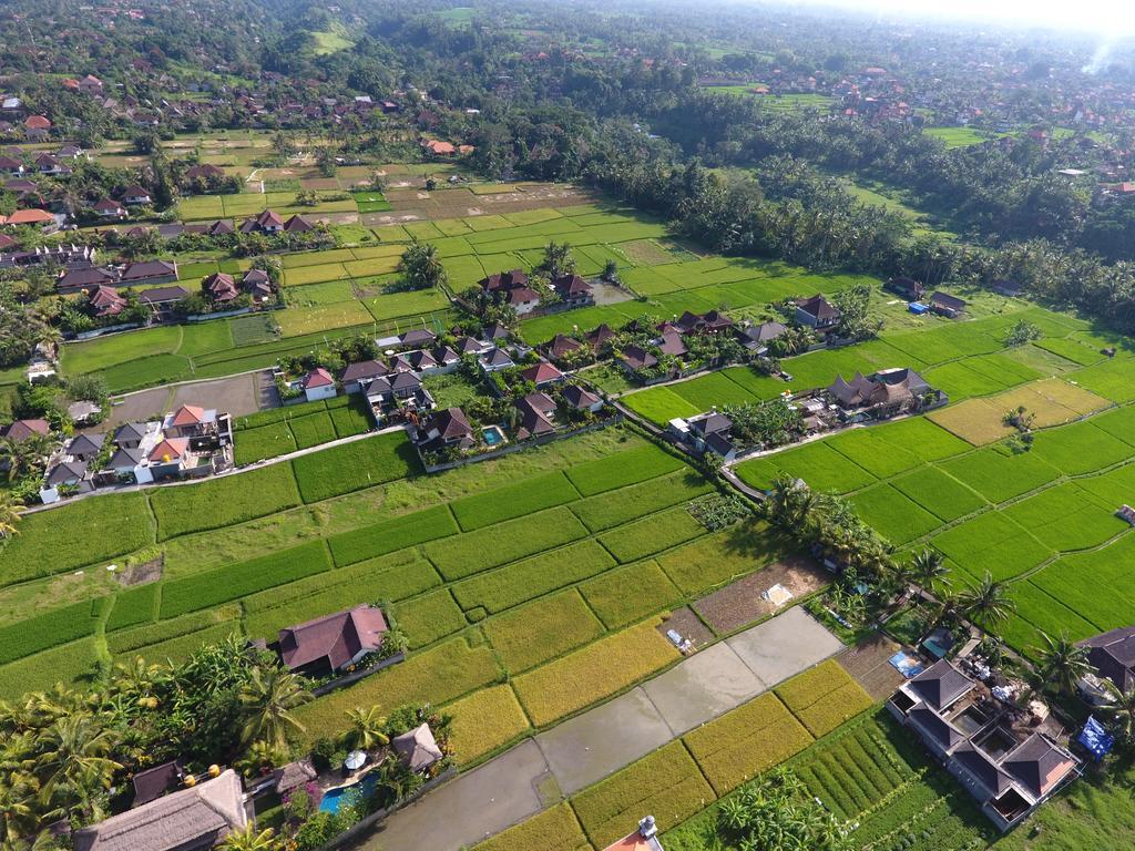 Pondok Penestanan Villa Ubud Exteriér fotografie